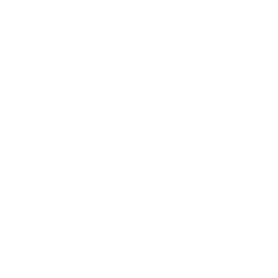 Full-Stack Development