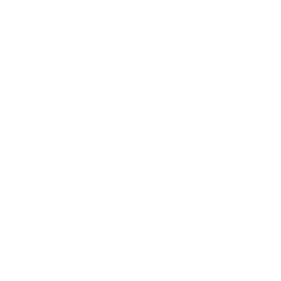 AI Chatbots & Semantic Search