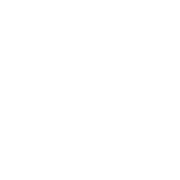 SEO & Performance Optimization